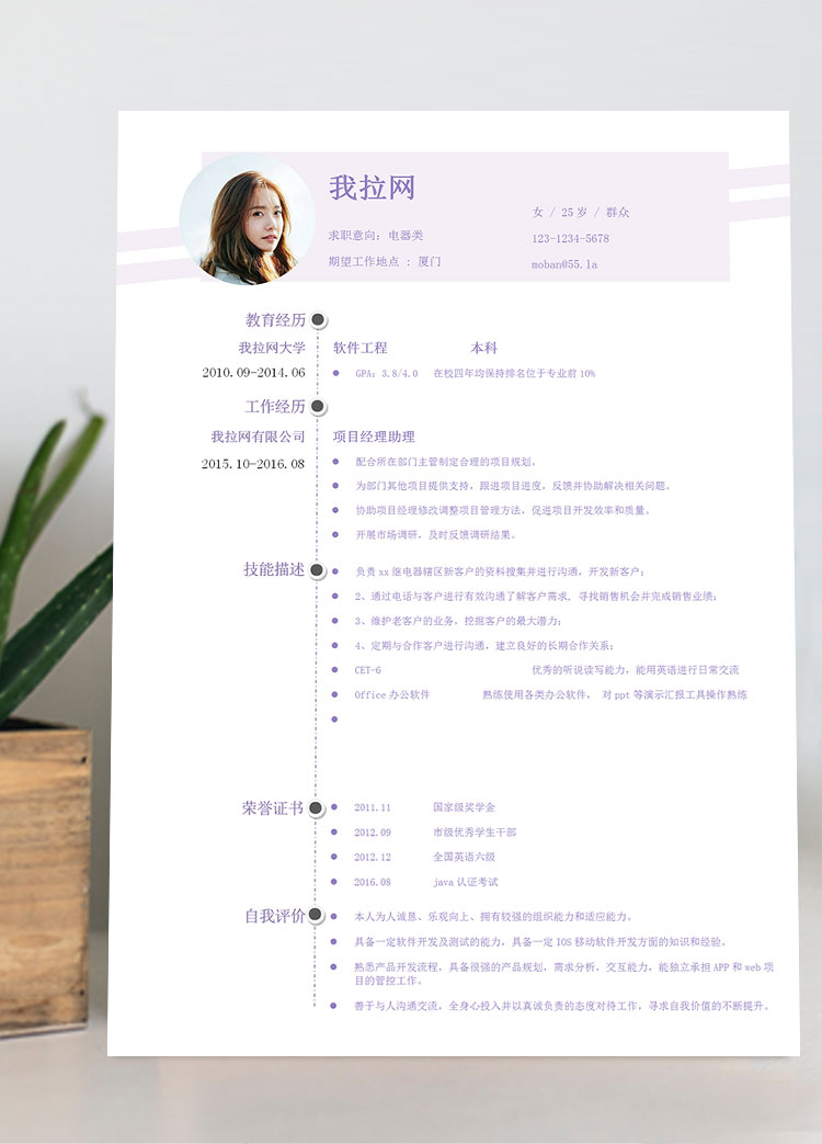 淺紫色創(chuàng)意風(fēng)電器客服簡(jiǎn)歷模板