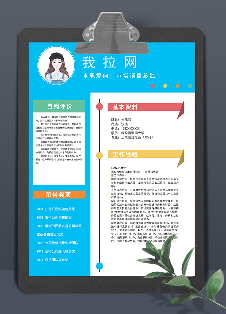 唯美彩色風格市場銷售總監(jiān)簡歷模板